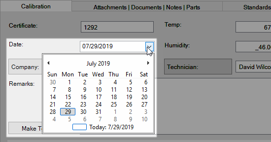 Date/Mask Field - Example