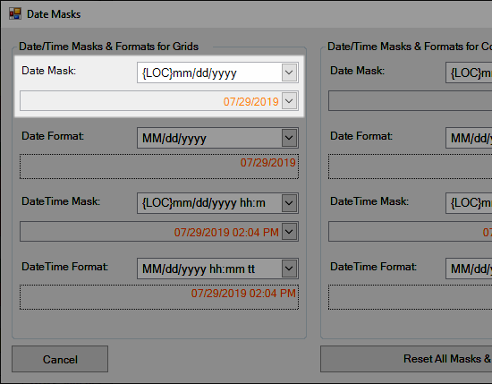 Date/Mask Field for Grids