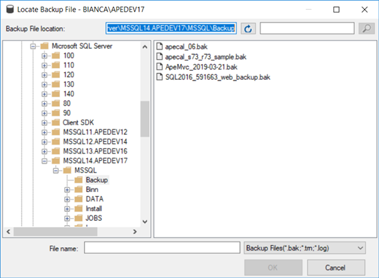 Locate Database Backup File