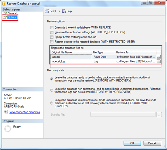 Restore Database Options